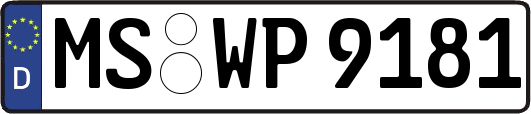 MS-WP9181