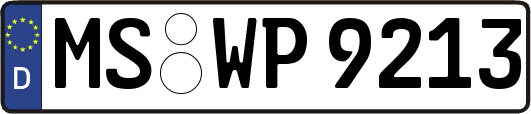 MS-WP9213