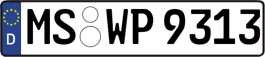 MS-WP9313