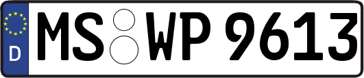 MS-WP9613