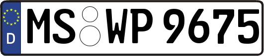 MS-WP9675