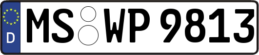 MS-WP9813
