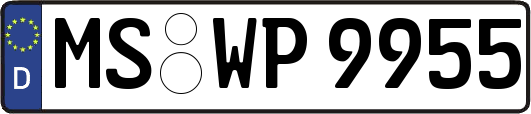 MS-WP9955