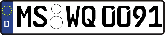 MS-WQ0091