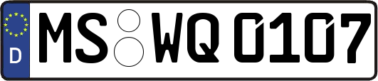 MS-WQ0107