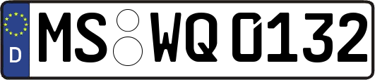 MS-WQ0132