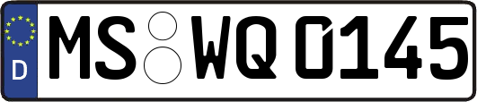 MS-WQ0145