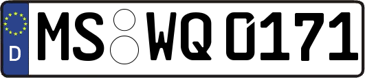 MS-WQ0171