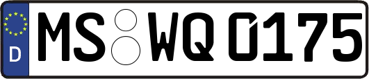MS-WQ0175