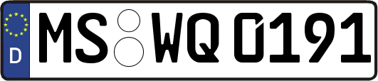MS-WQ0191