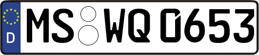MS-WQ0653