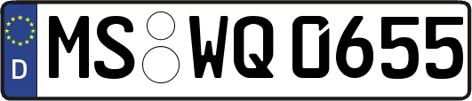 MS-WQ0655