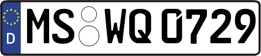 MS-WQ0729