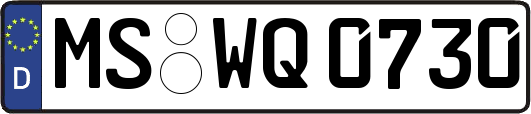 MS-WQ0730
