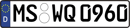 MS-WQ0960