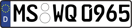 MS-WQ0965