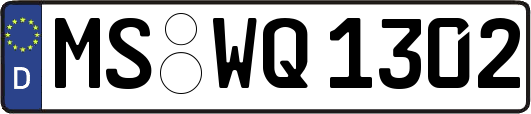 MS-WQ1302