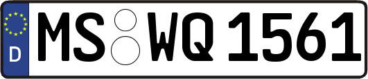 MS-WQ1561