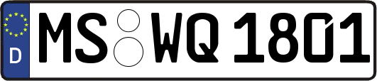 MS-WQ1801