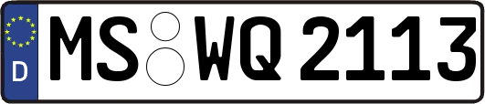 MS-WQ2113