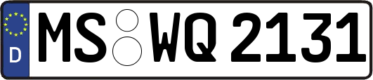 MS-WQ2131