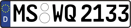 MS-WQ2133