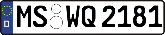 MS-WQ2181