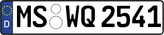 MS-WQ2541