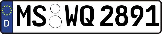 MS-WQ2891