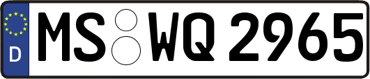 MS-WQ2965