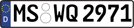 MS-WQ2971