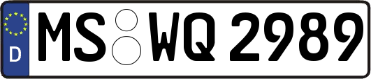 MS-WQ2989