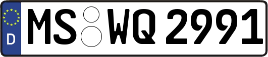 MS-WQ2991