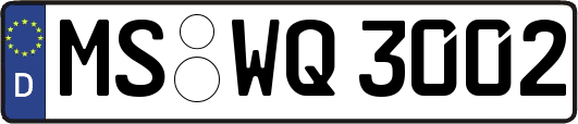 MS-WQ3002