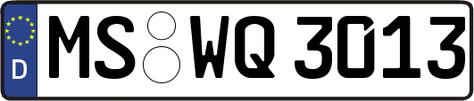 MS-WQ3013
