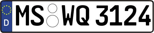 MS-WQ3124