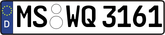 MS-WQ3161