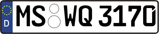 MS-WQ3170
