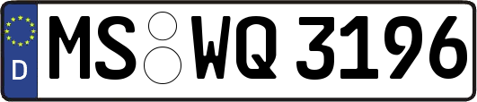 MS-WQ3196