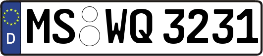 MS-WQ3231