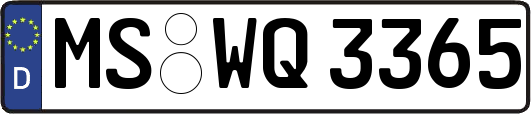 MS-WQ3365