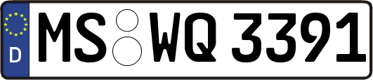 MS-WQ3391