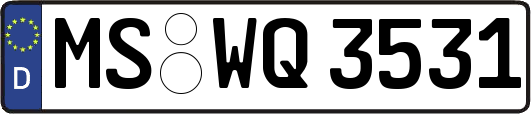 MS-WQ3531