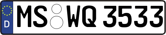 MS-WQ3533