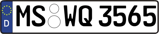 MS-WQ3565