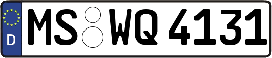 MS-WQ4131