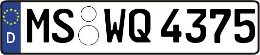 MS-WQ4375
