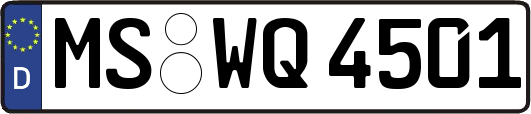 MS-WQ4501