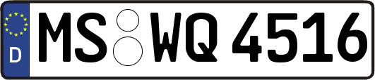 MS-WQ4516