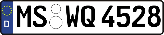 MS-WQ4528